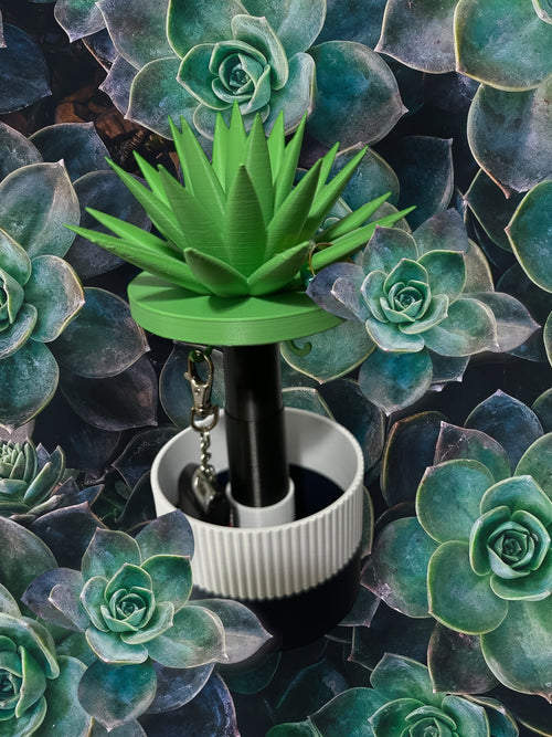 JewelNest
